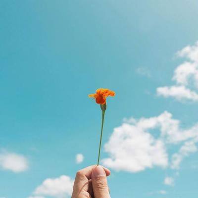 丰禾棋牌手机app下载